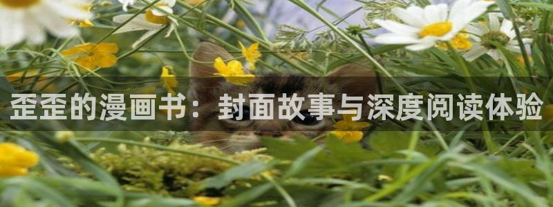 歪歪漫画网页sss