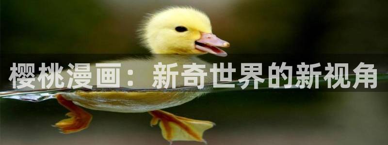 韩国歪歪漫画官网